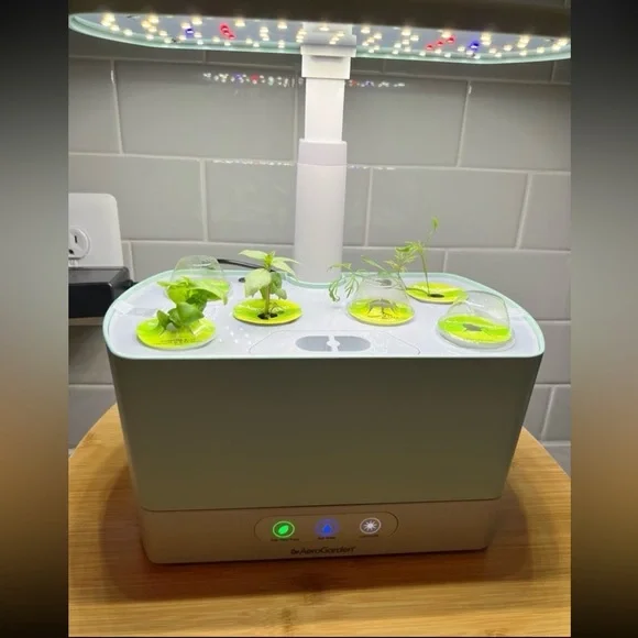 AeroGarden Harvest in Sage— Excellent Condition! - Picture 1 of 3